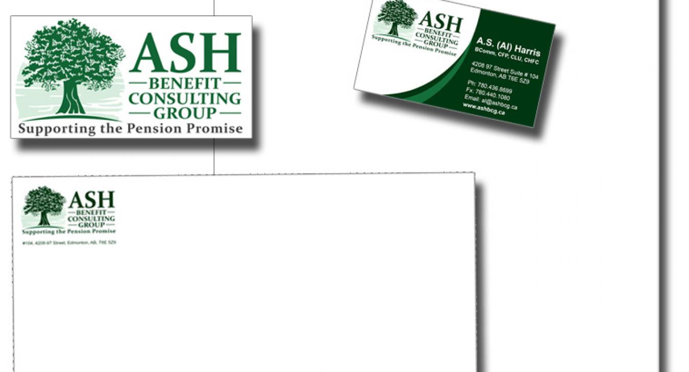 Ash Consulting